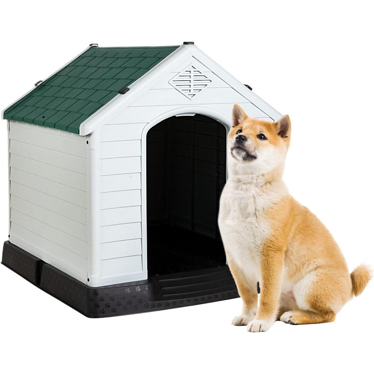 Big plastic shop dog house